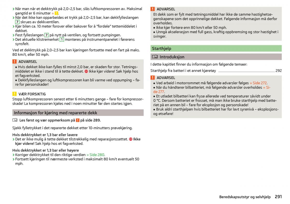 Skoda Kodiaq bruksanvisningen / page 293