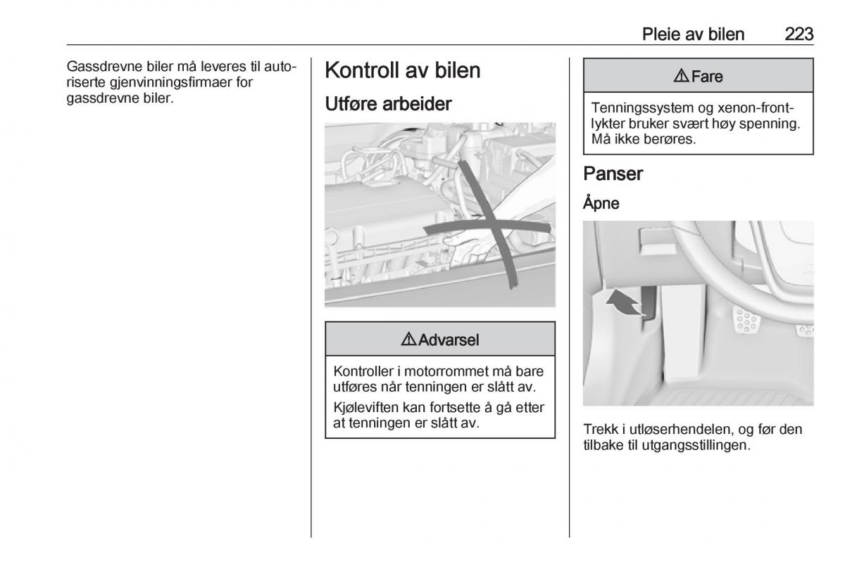 Opel Insignia A bruksanvisningen / page 225