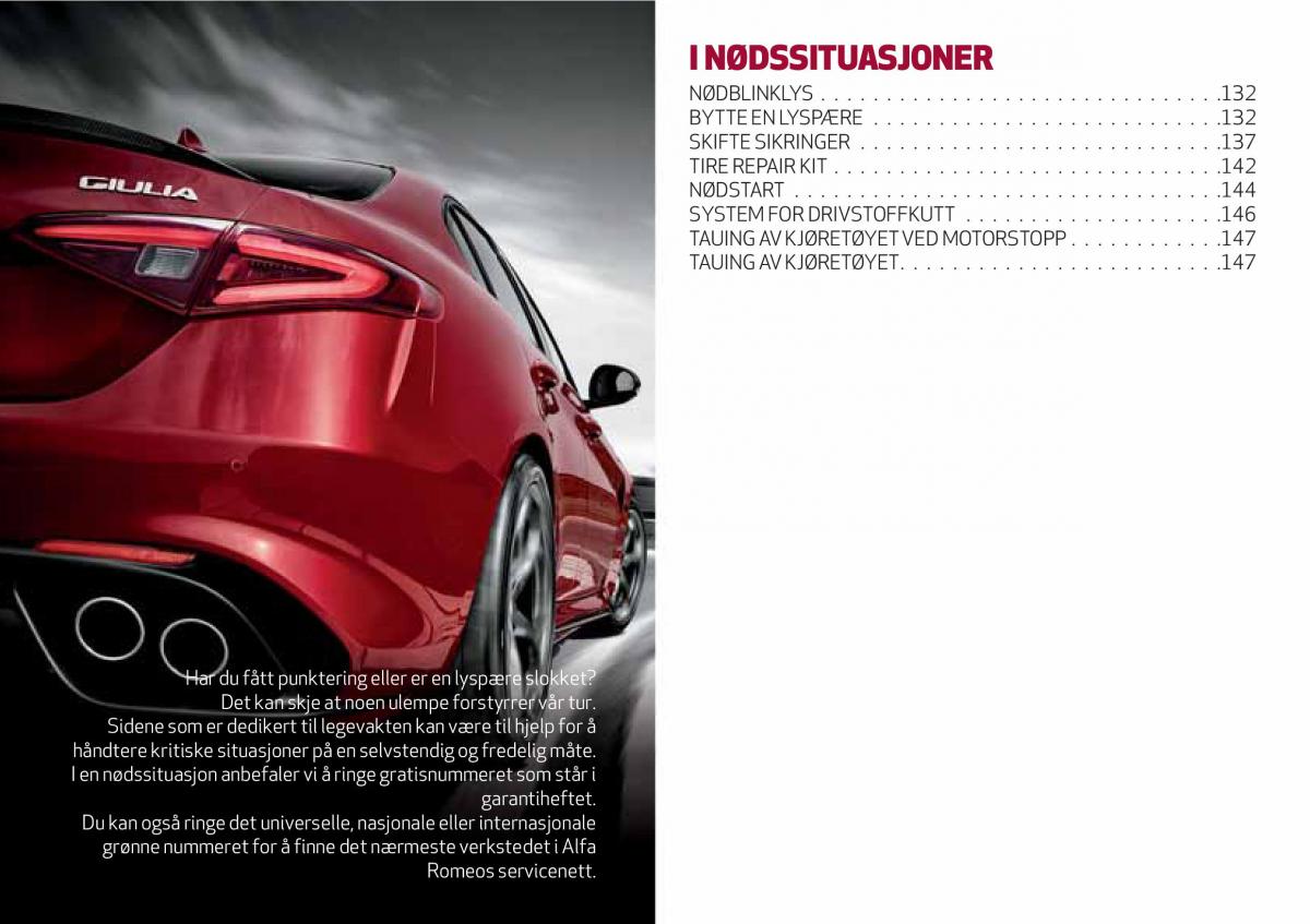 Alfa Romeo Giulia bruksanvisningen / page 133