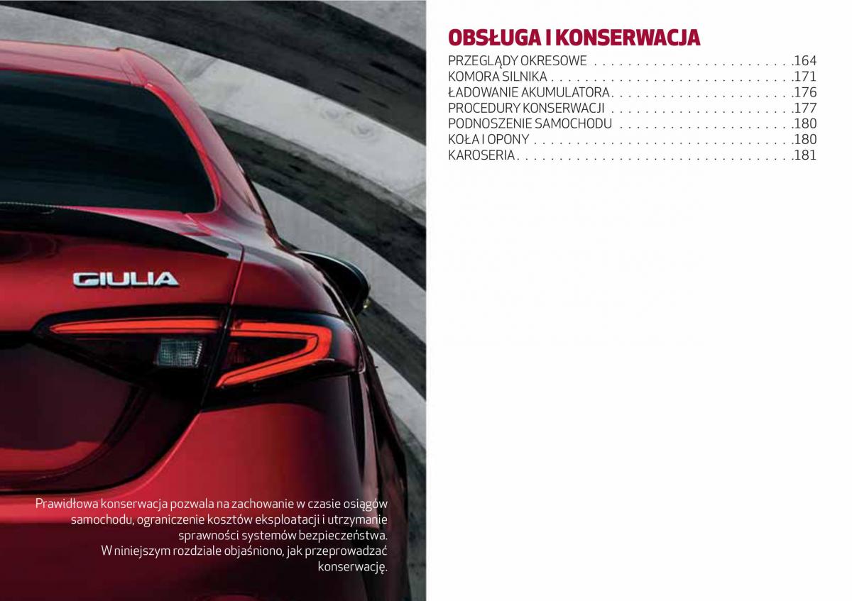 Alfa Romeo Giulia instrukcja obslugi / page 165