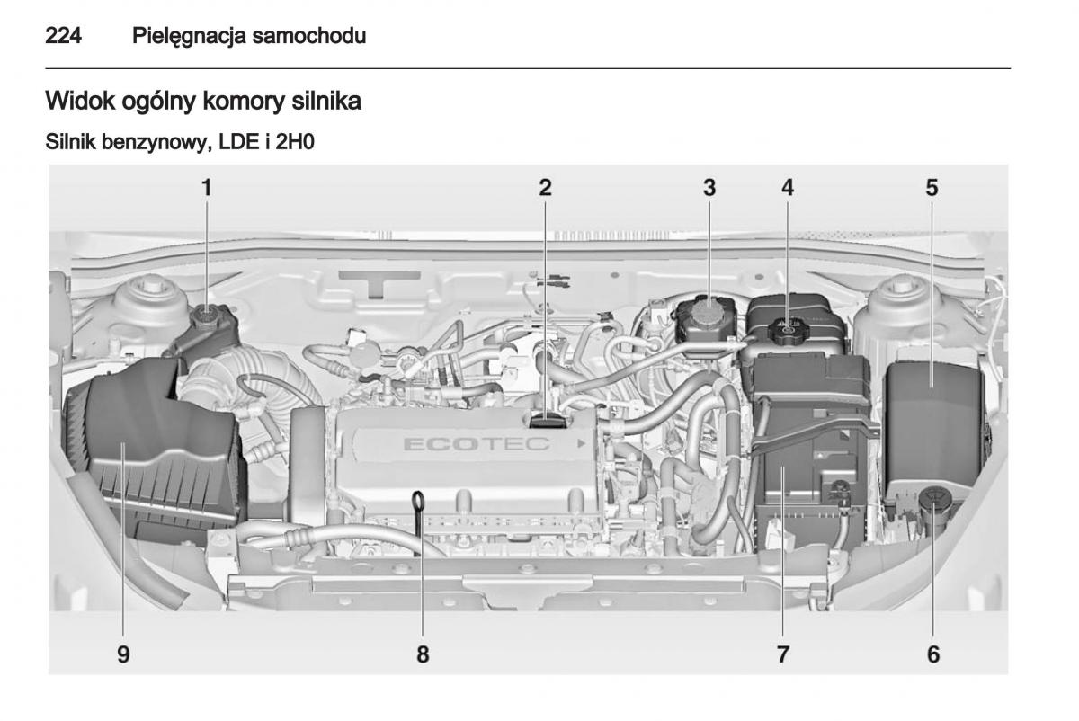 Chevrolet Cruze instrukcja obslugi / page 224