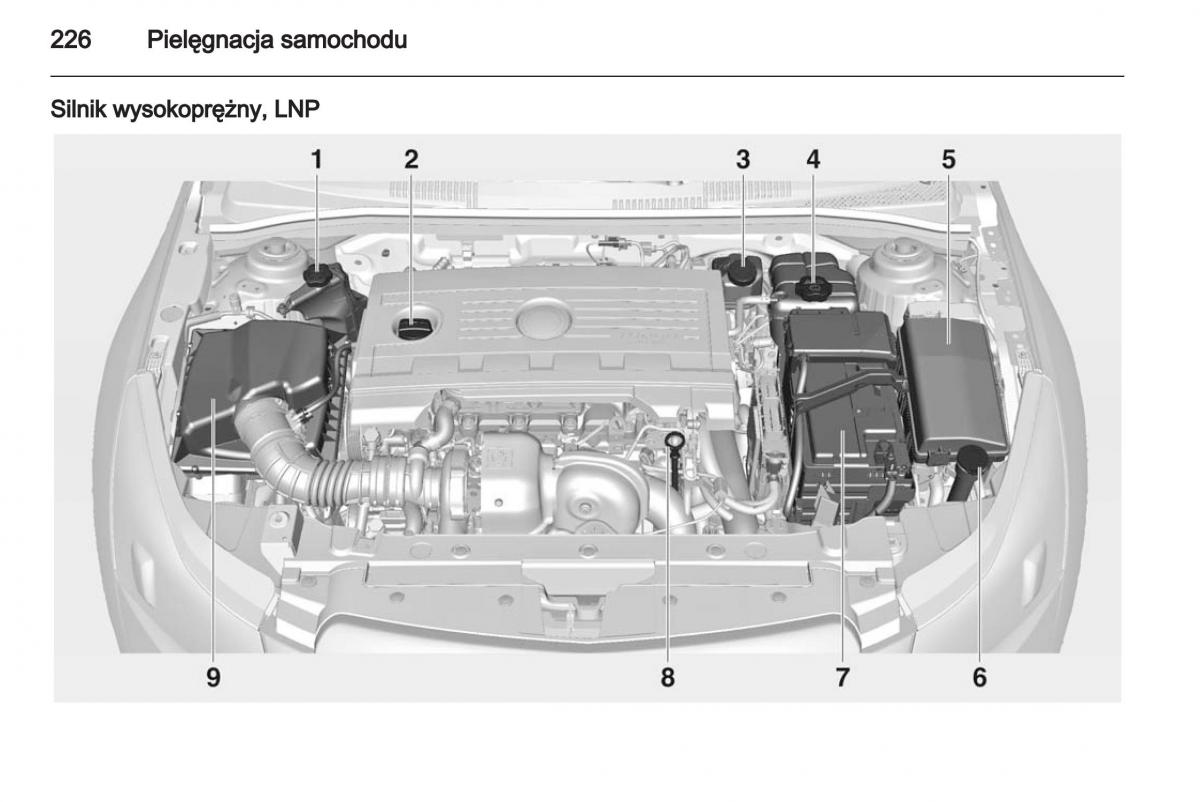 Chevrolet Cruze instrukcja obslugi / page 226