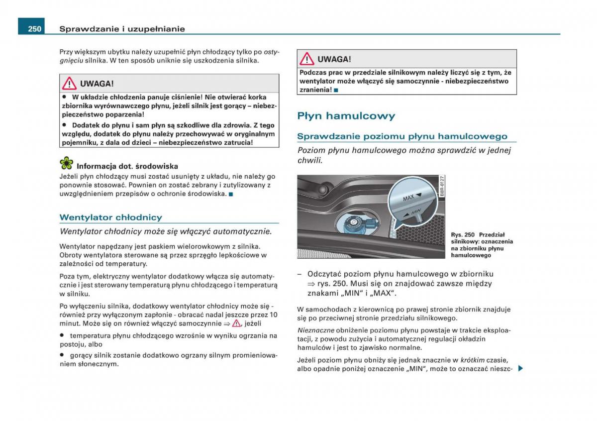 manual Audi Q5 instrukcja / page 252