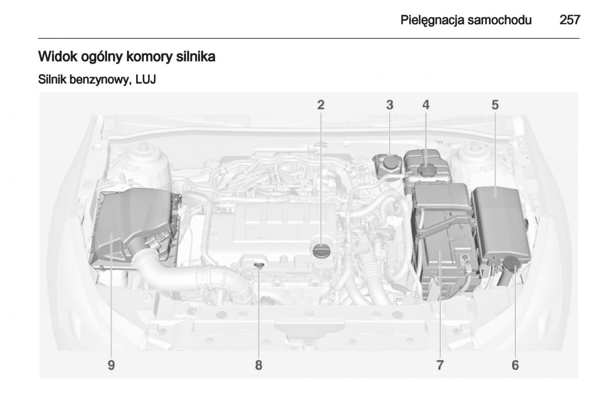 Chevrolet Orlando instrukcja obslugi / page 259