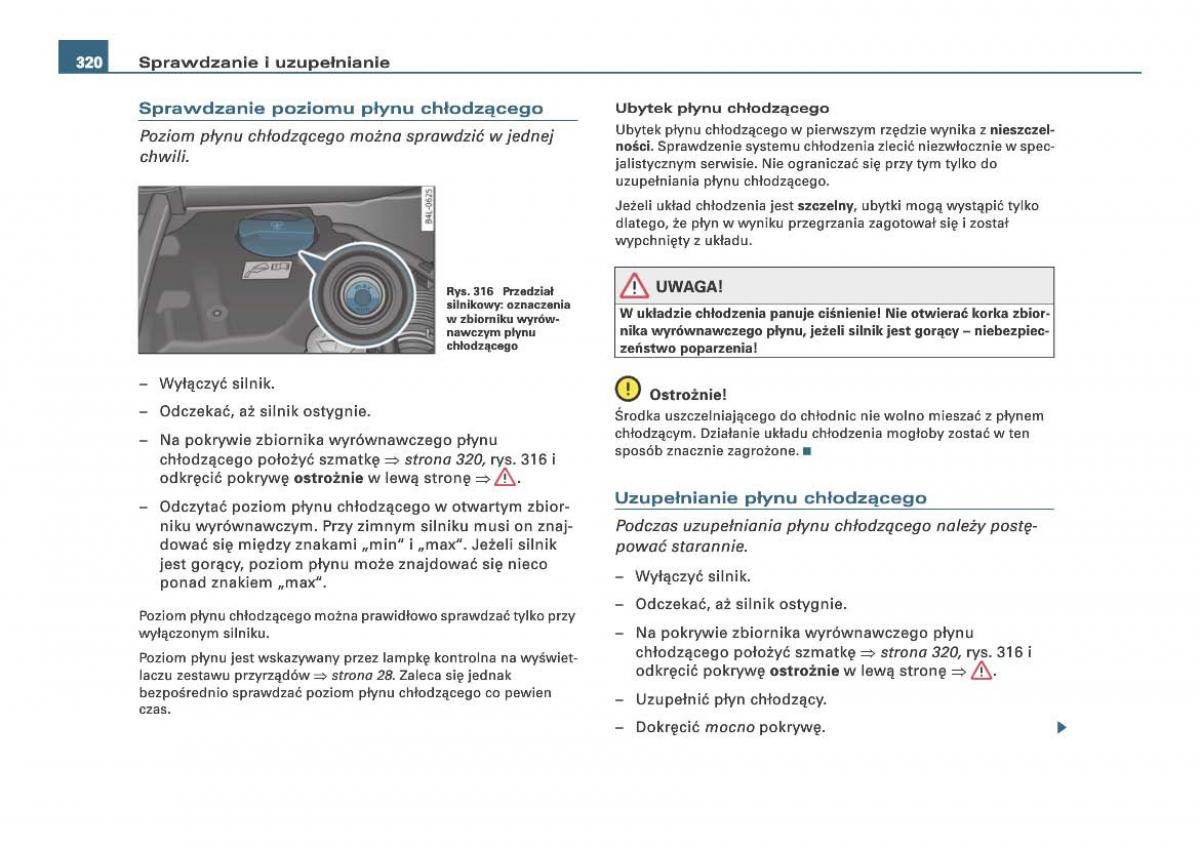 Audi Q7 I 1 instrukcja obslugi / page 317