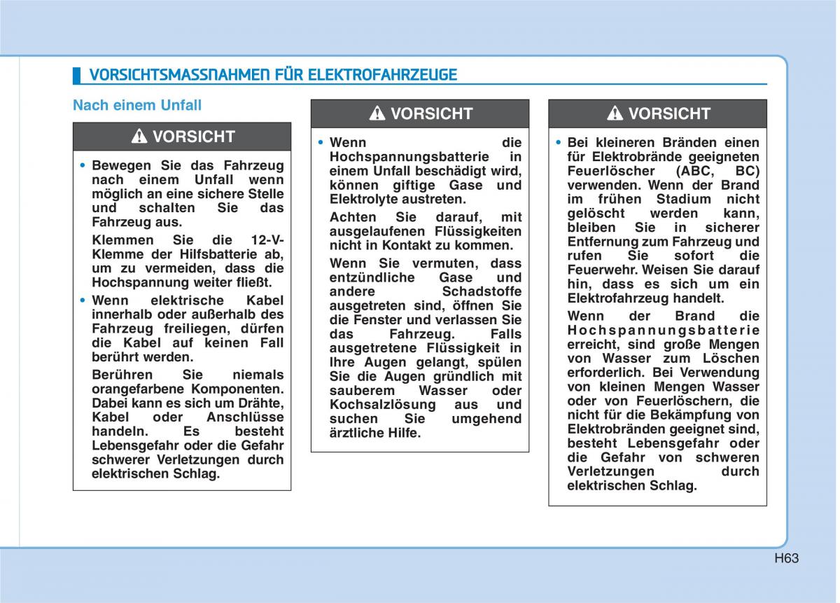 Hyundai Ioniq Electric Handbuch / page 72