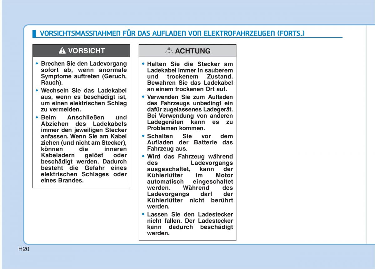 Hyundai Ioniq Electric Handbuch / page 29