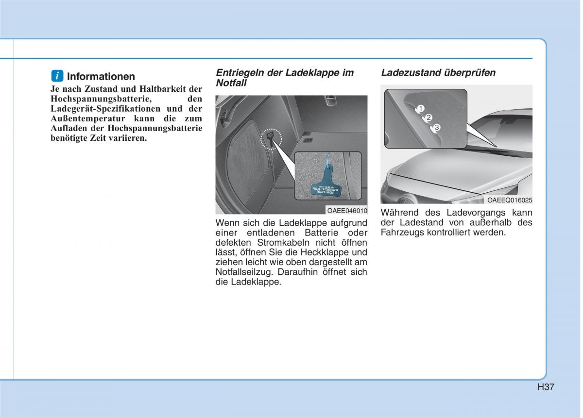 Hyundai Ioniq Electric Handbuch / page 46