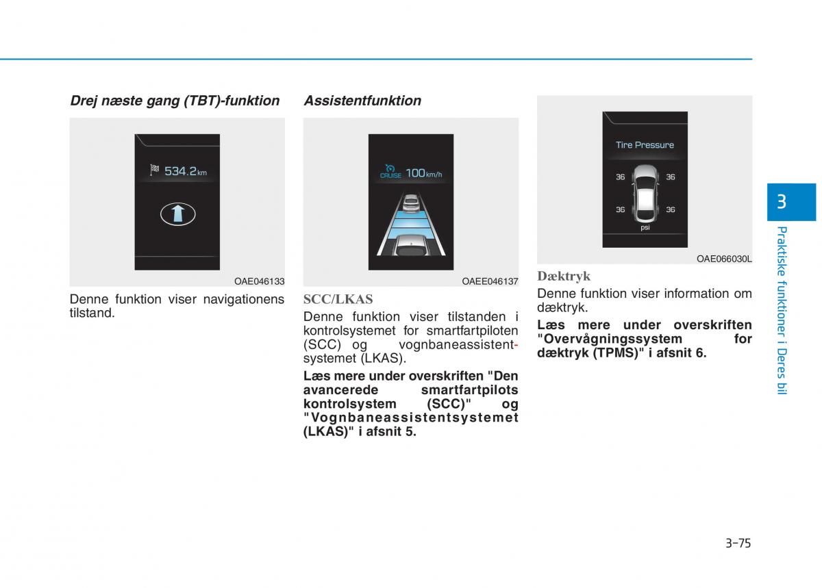 Hyundai Ioniq Electric Bilens instruktionsbog / page 218