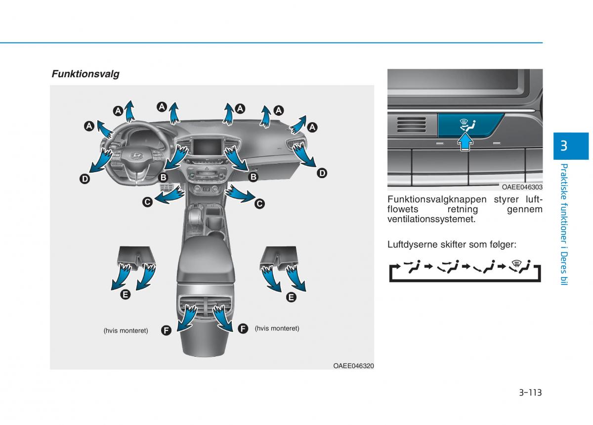 Hyundai Ioniq Electric Bilens instruktionsbog / page 256