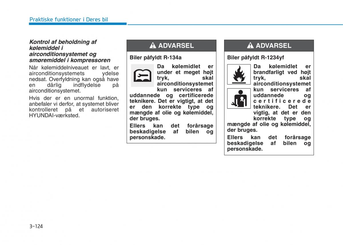 Hyundai Ioniq Electric Bilens instruktionsbog / page 267