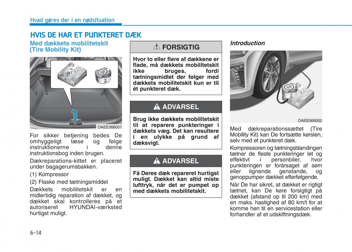 Hyundai Ioniq Electric Bilens instruktionsbog / page 450