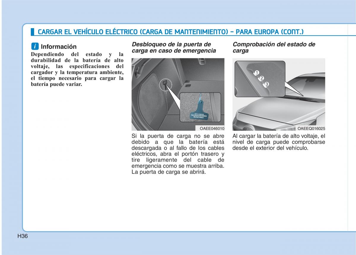 Hyundai Ioniq Electric manual del propietario / page 43