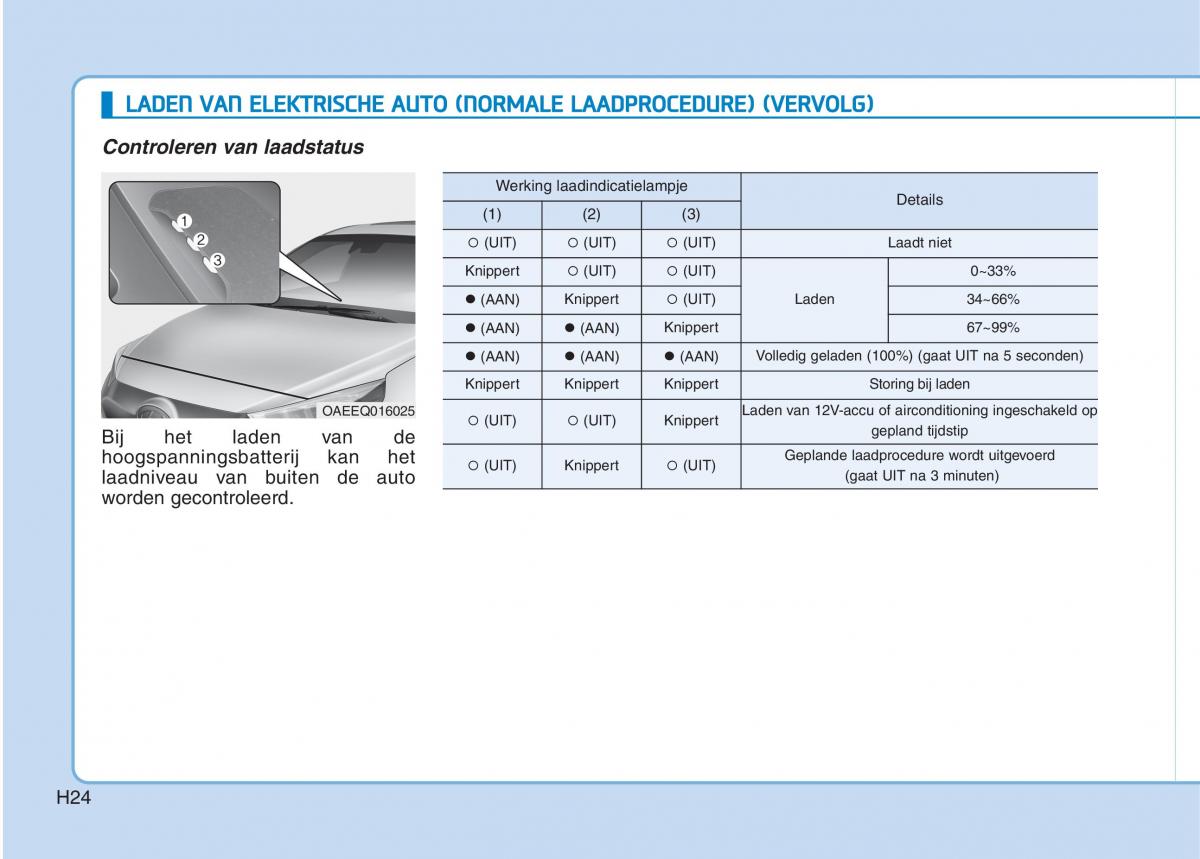 Hyundai Ioniq Electric handleiding / page 31