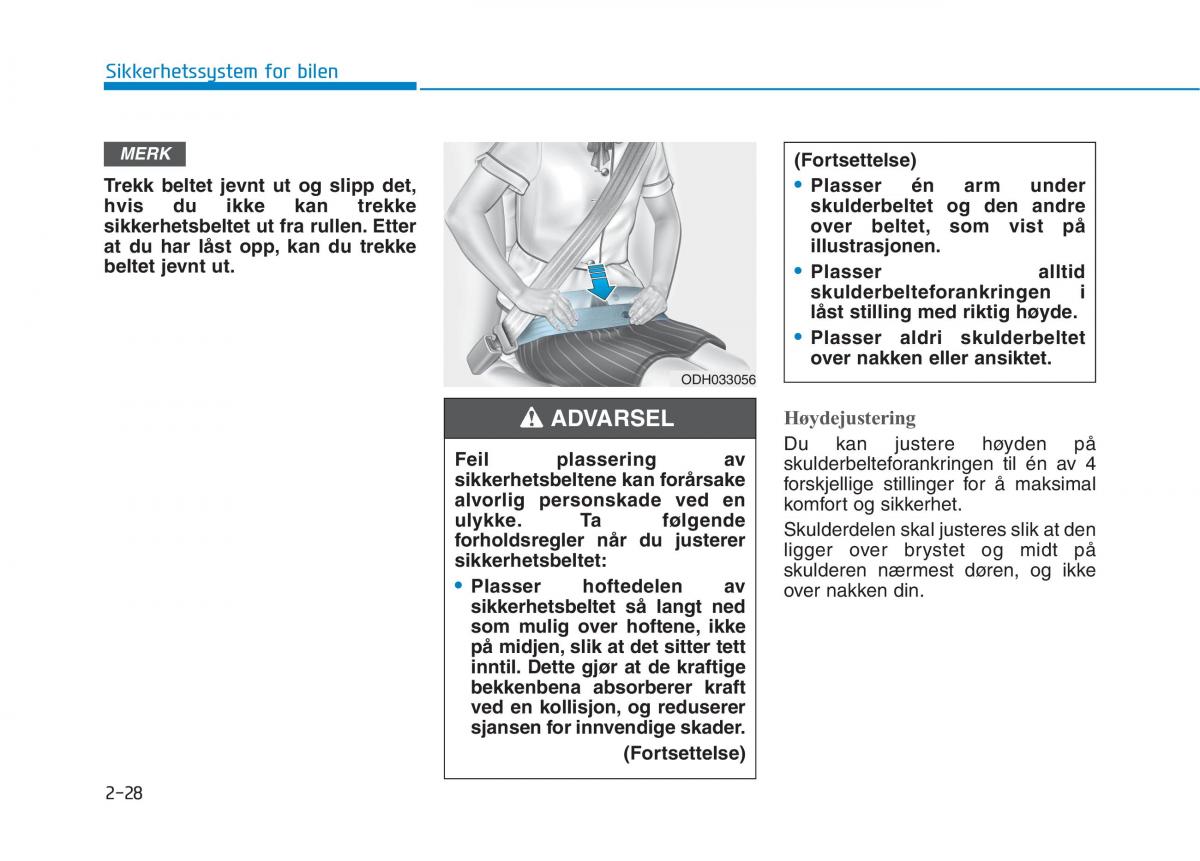 Hyundai Ioniq Electric bruksanvisningen / page 104