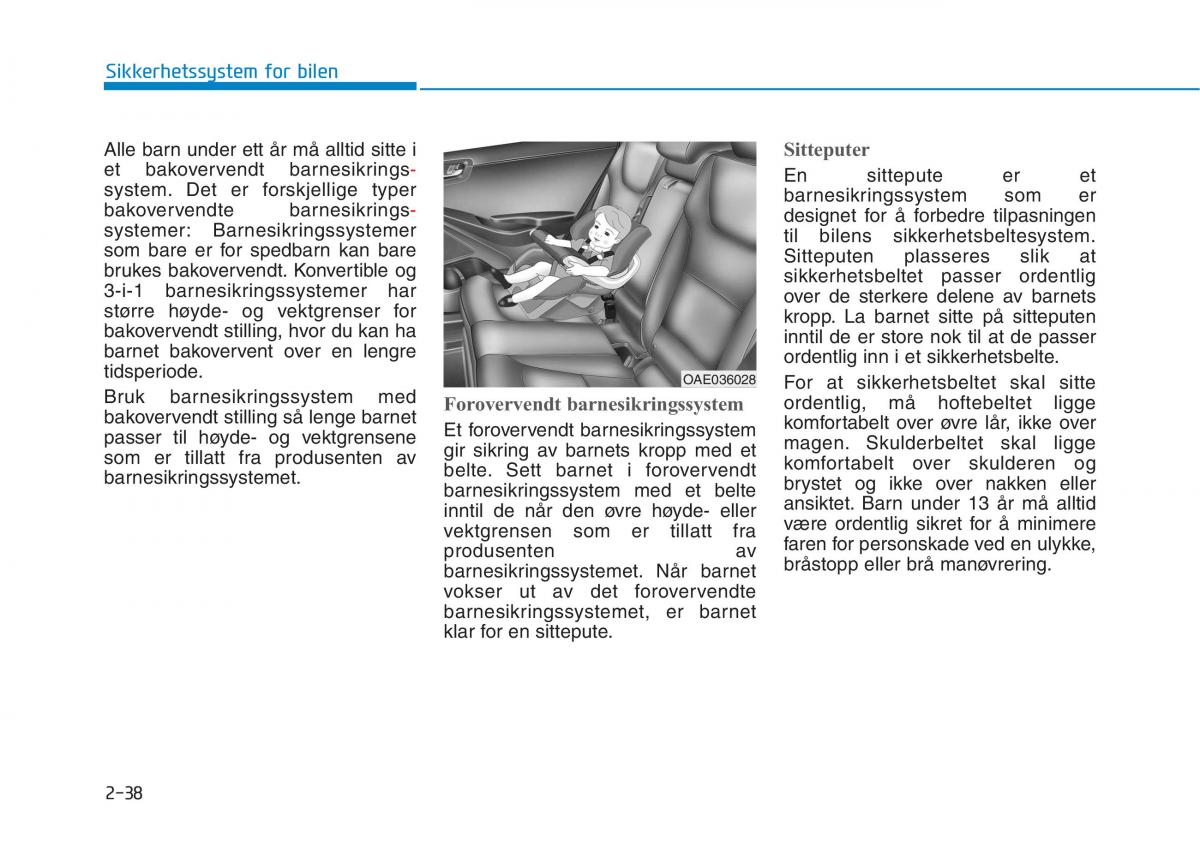 Hyundai Ioniq Electric bruksanvisningen / page 114