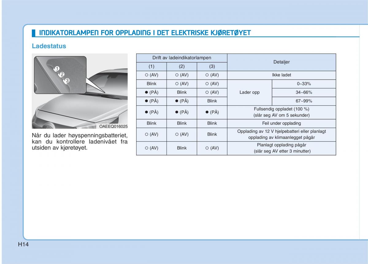 Hyundai Ioniq Electric bruksanvisningen / page 21