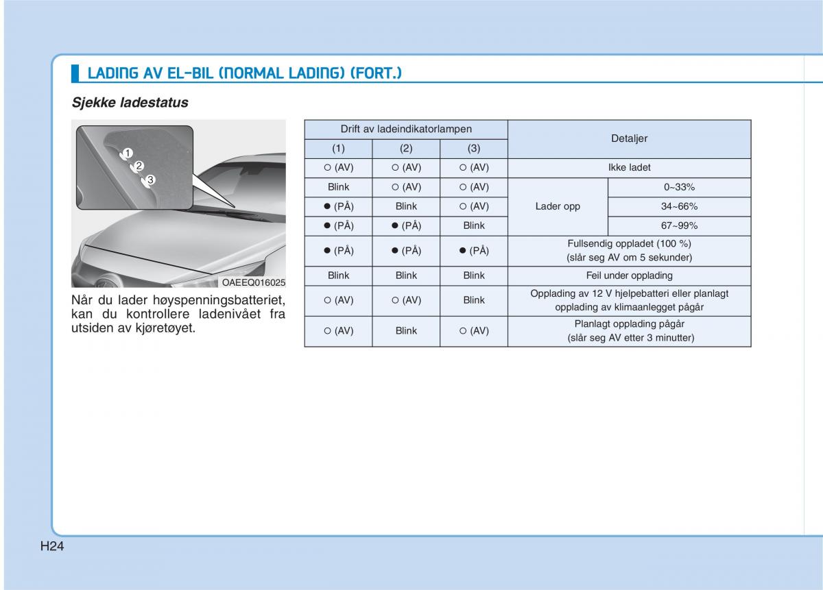 Hyundai Ioniq Electric bruksanvisningen / page 31