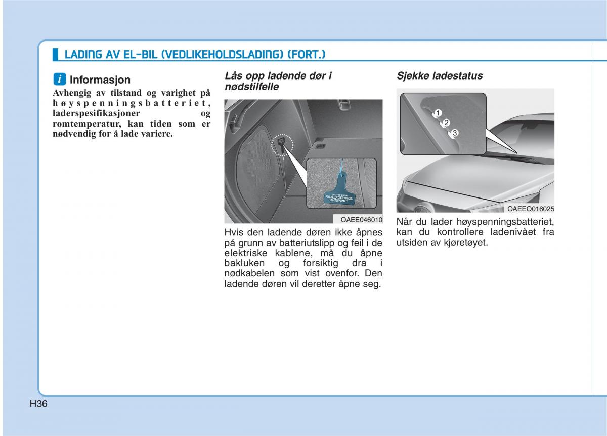 Hyundai Ioniq Electric bruksanvisningen / page 43