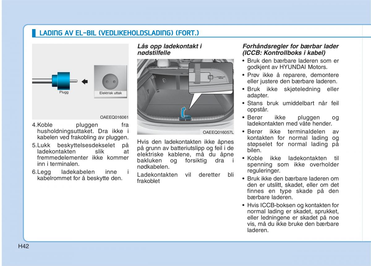 Hyundai Ioniq Electric bruksanvisningen / page 49