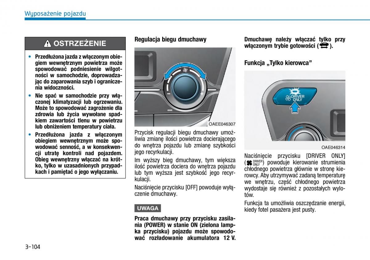 Hyundai Ioniq Electric instrukcja obslugi / page 246