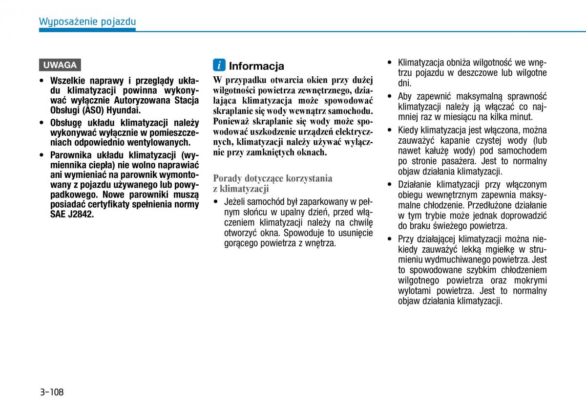 Hyundai Ioniq Electric instrukcja obslugi / page 250