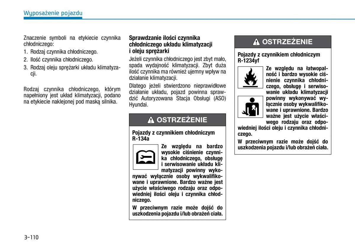 Hyundai Ioniq Electric instrukcja obslugi / page 252