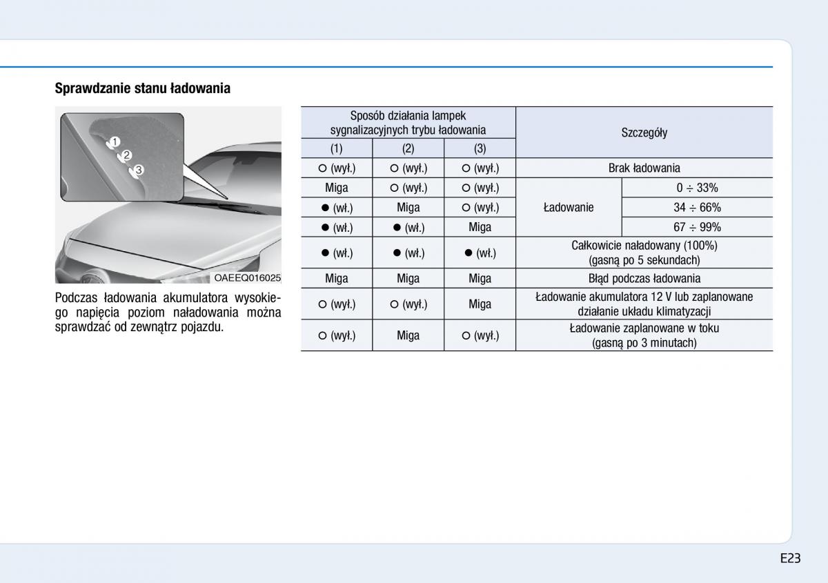 Hyundai Ioniq Electric instrukcja obslugi / page 31