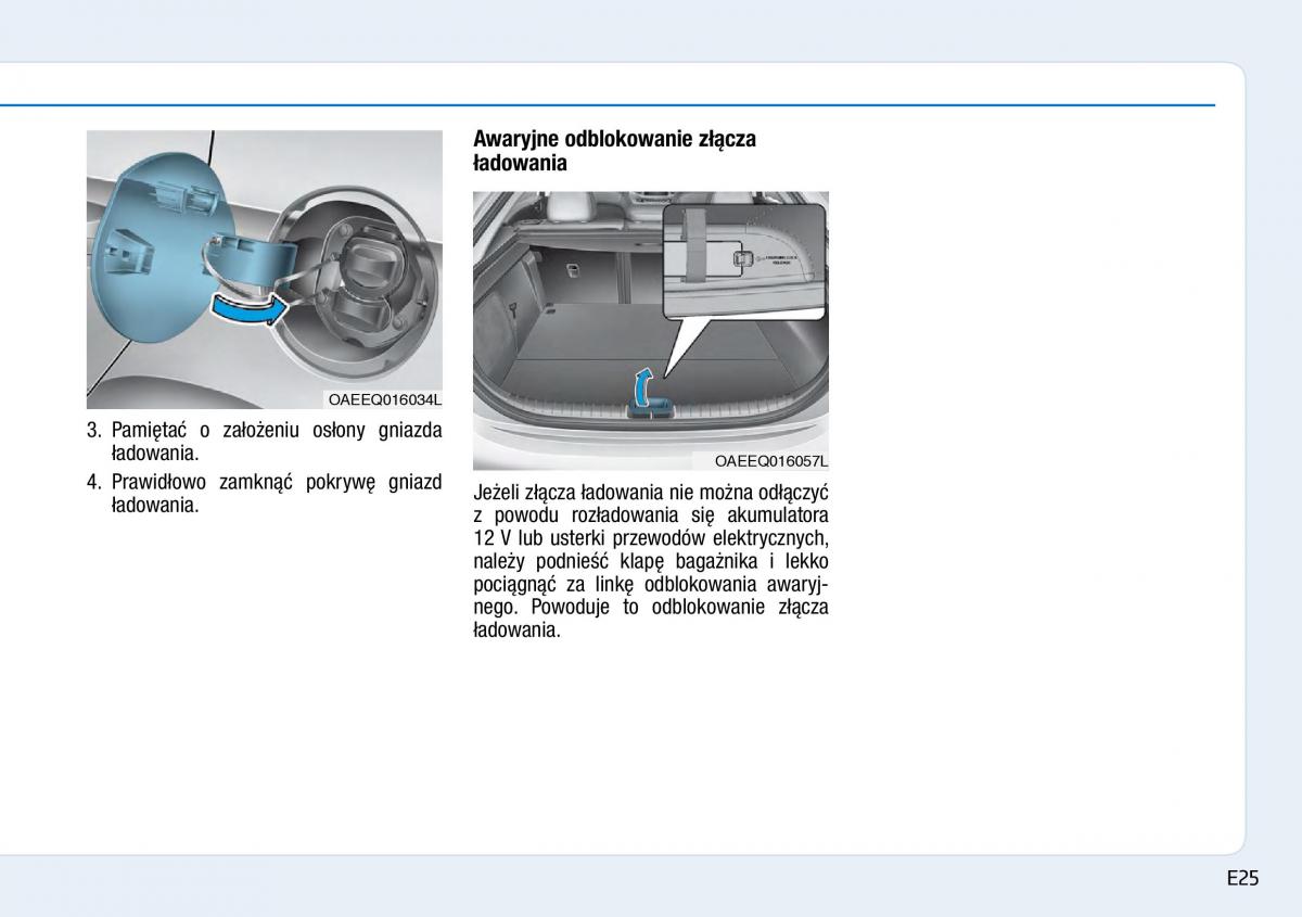 Hyundai Ioniq Electric instrukcja obslugi / page 33