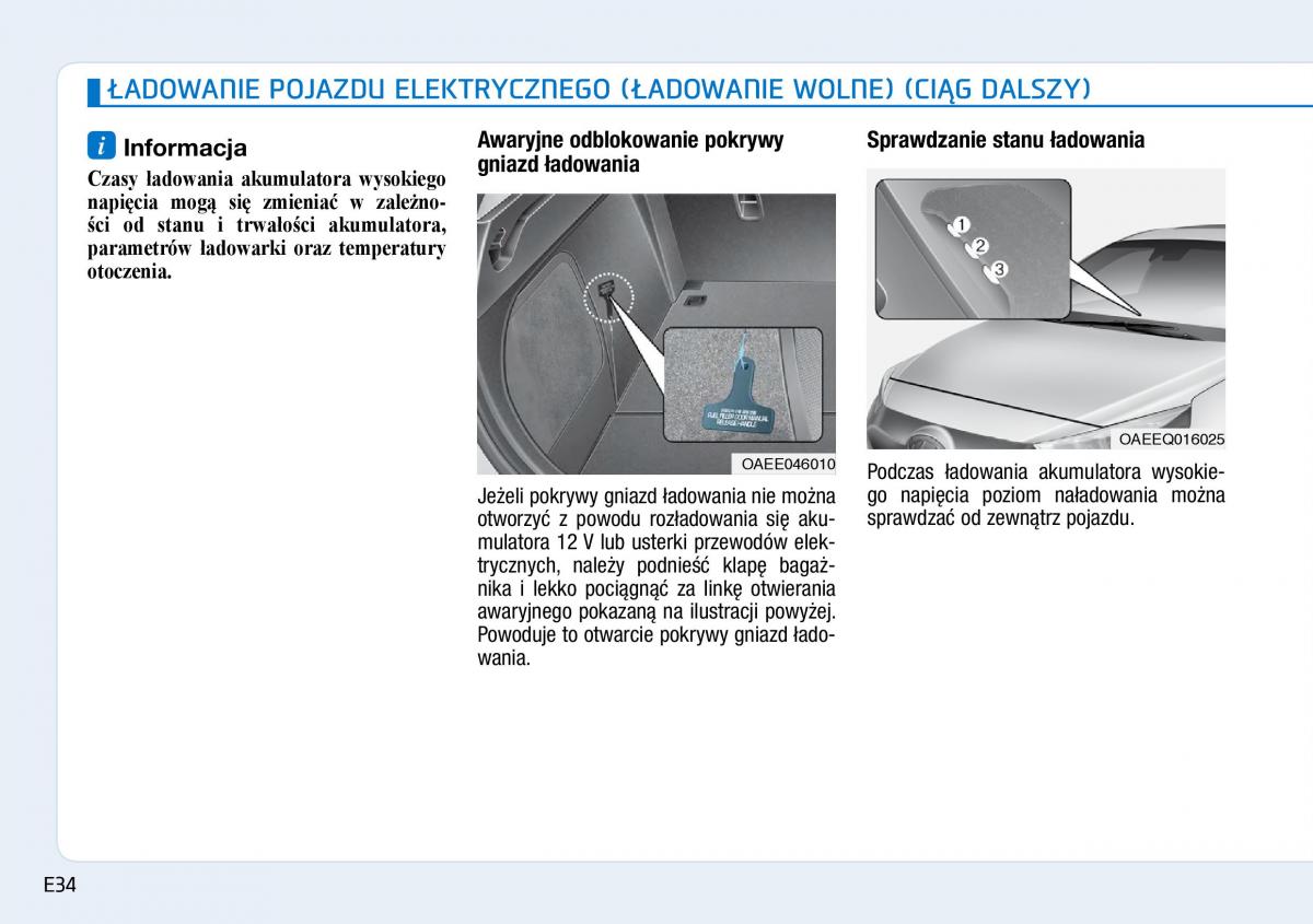 Hyundai Ioniq Electric instrukcja obslugi / page 42