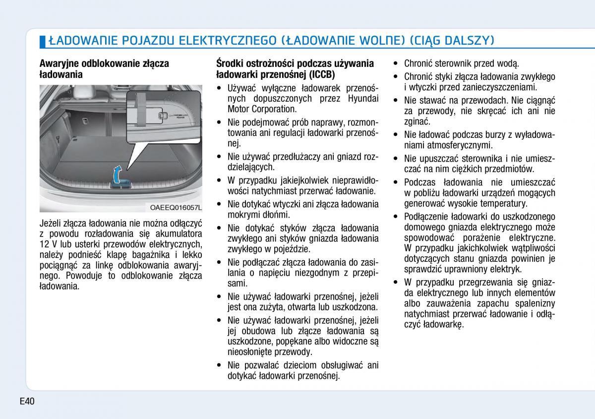 Hyundai Ioniq Electric instrukcja obslugi / page 48