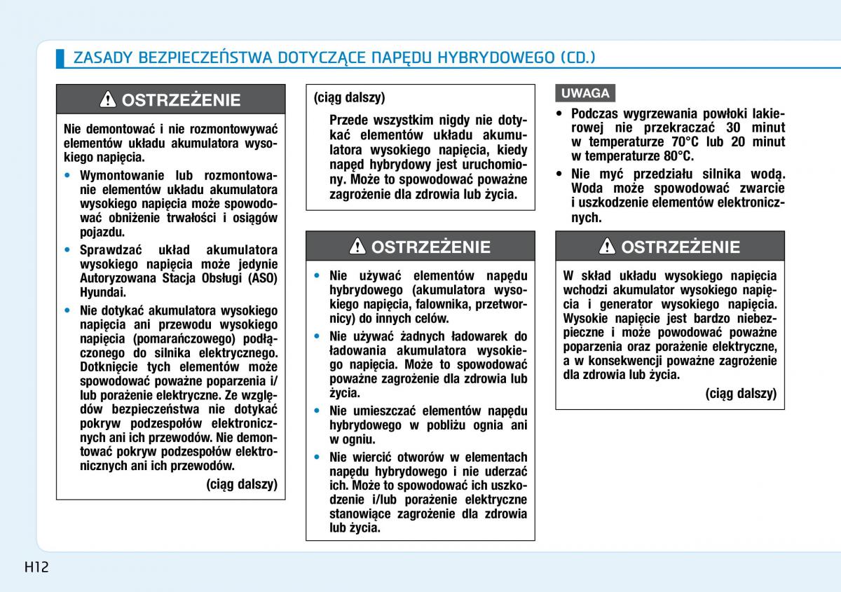 Hyundai Ioniq Hybrid instrukcja obslugi / page 22