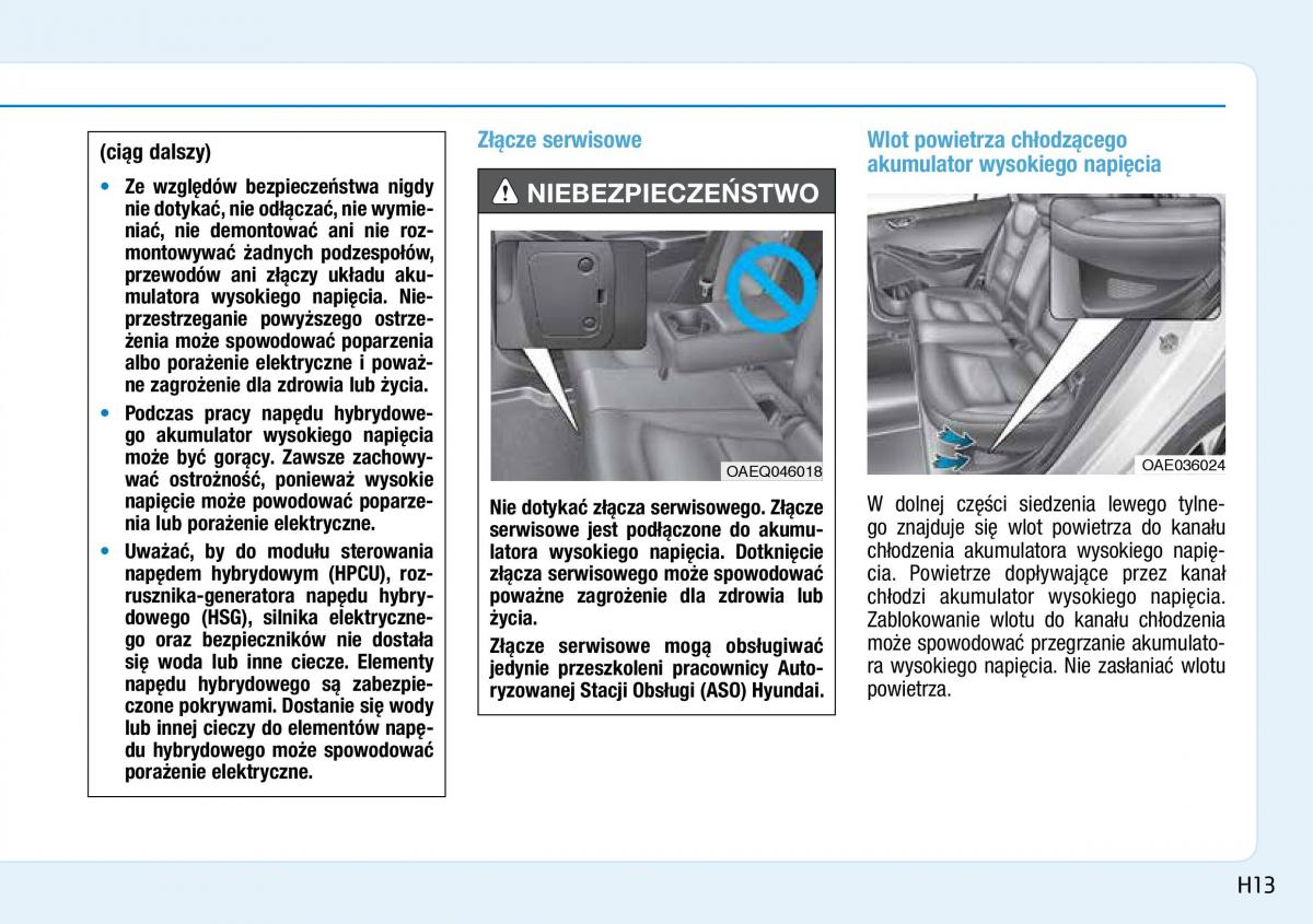 Hyundai Ioniq Hybrid instrukcja obslugi / page 23