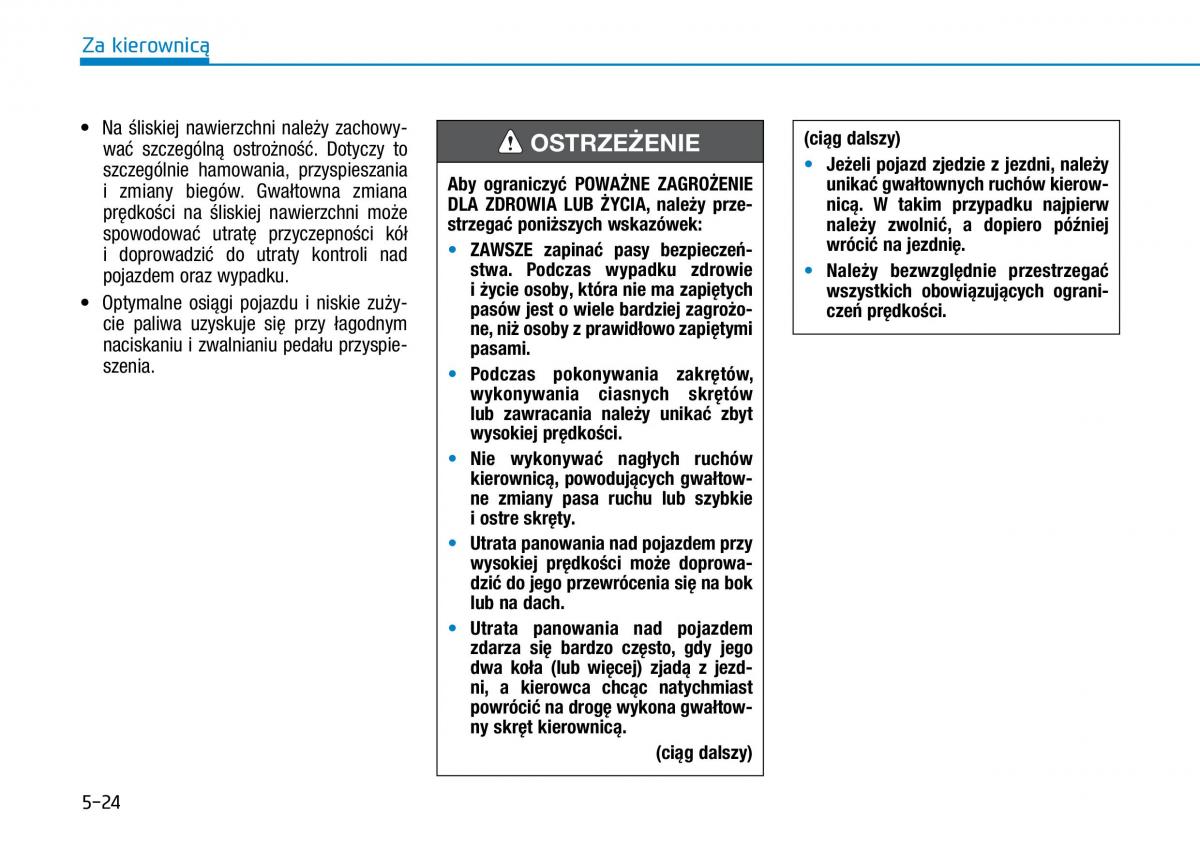 Hyundai Ioniq Hybrid instrukcja obslugi / page 307