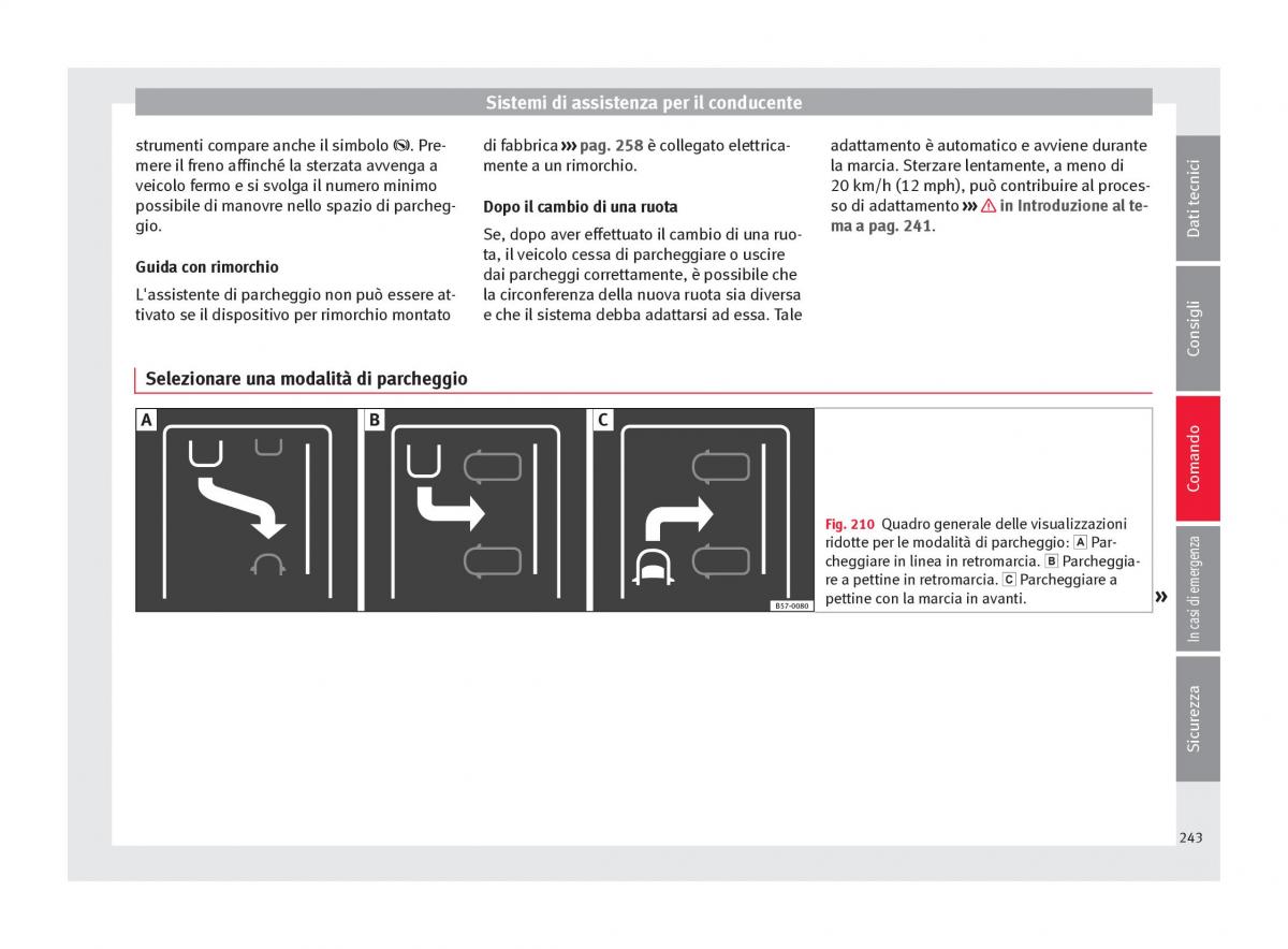 Seat Arona manuale del proprietario / page 245