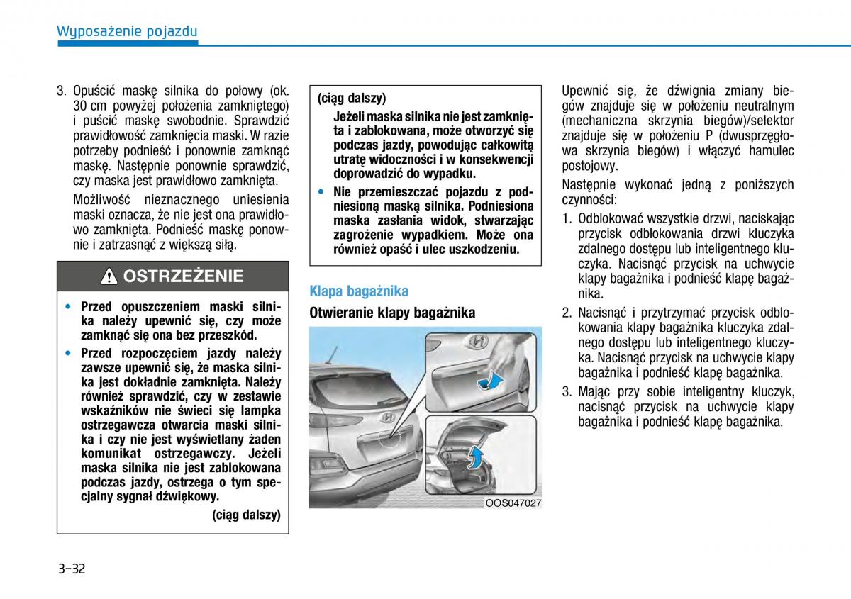 Hyundai Kona instrukcja obslugi / page 111