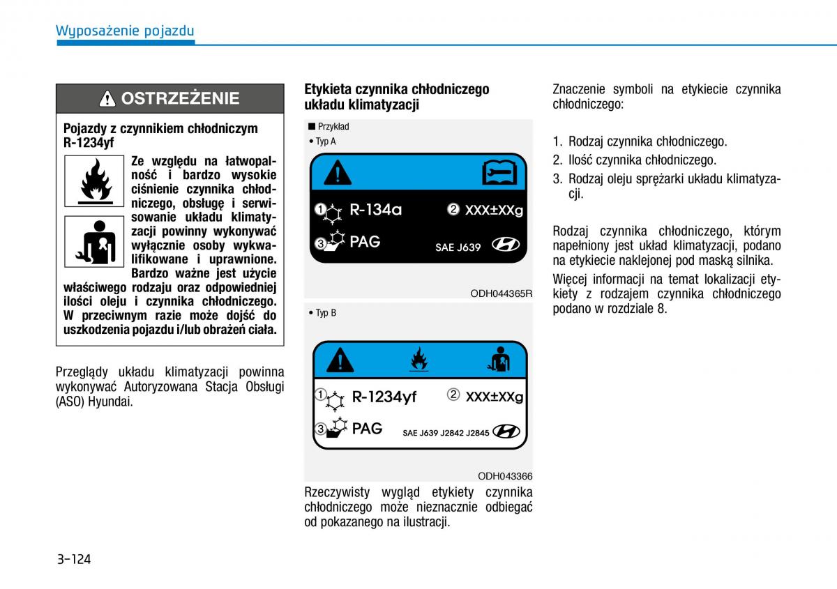 Hyundai Kona instrukcja obslugi / page 203