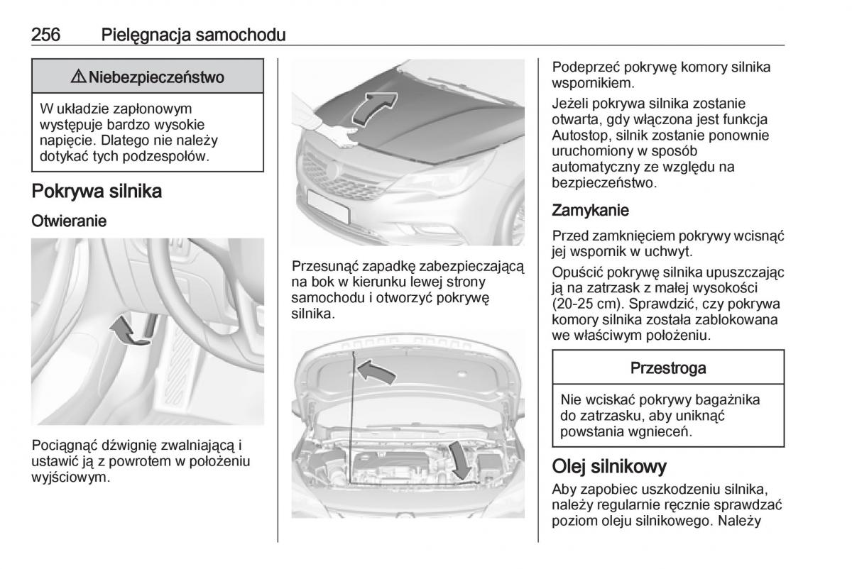 Opel Astra K V 5 instrukcja obslugi / page 258