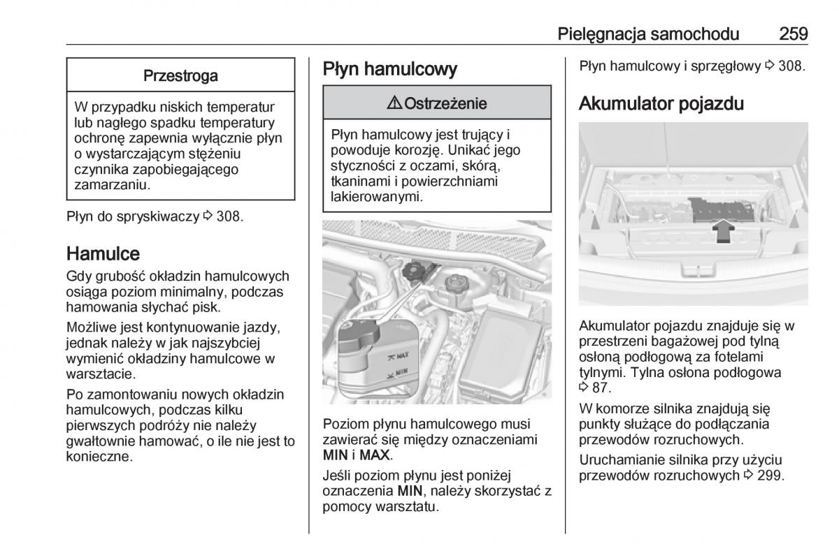 Opel Astra K V 5 instrukcja obslugi / page 261