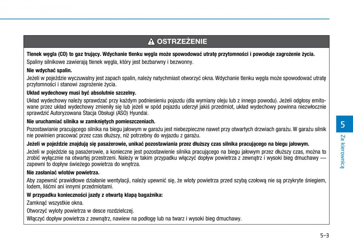 Hyundai i30N Performance instrukcja obslugi / page 252