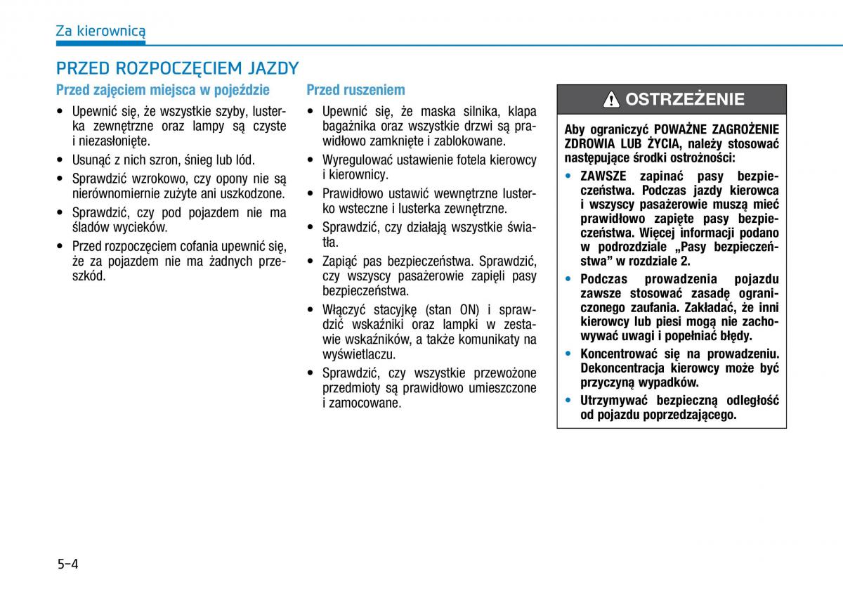 Hyundai i30N Performance instrukcja obslugi / page 253