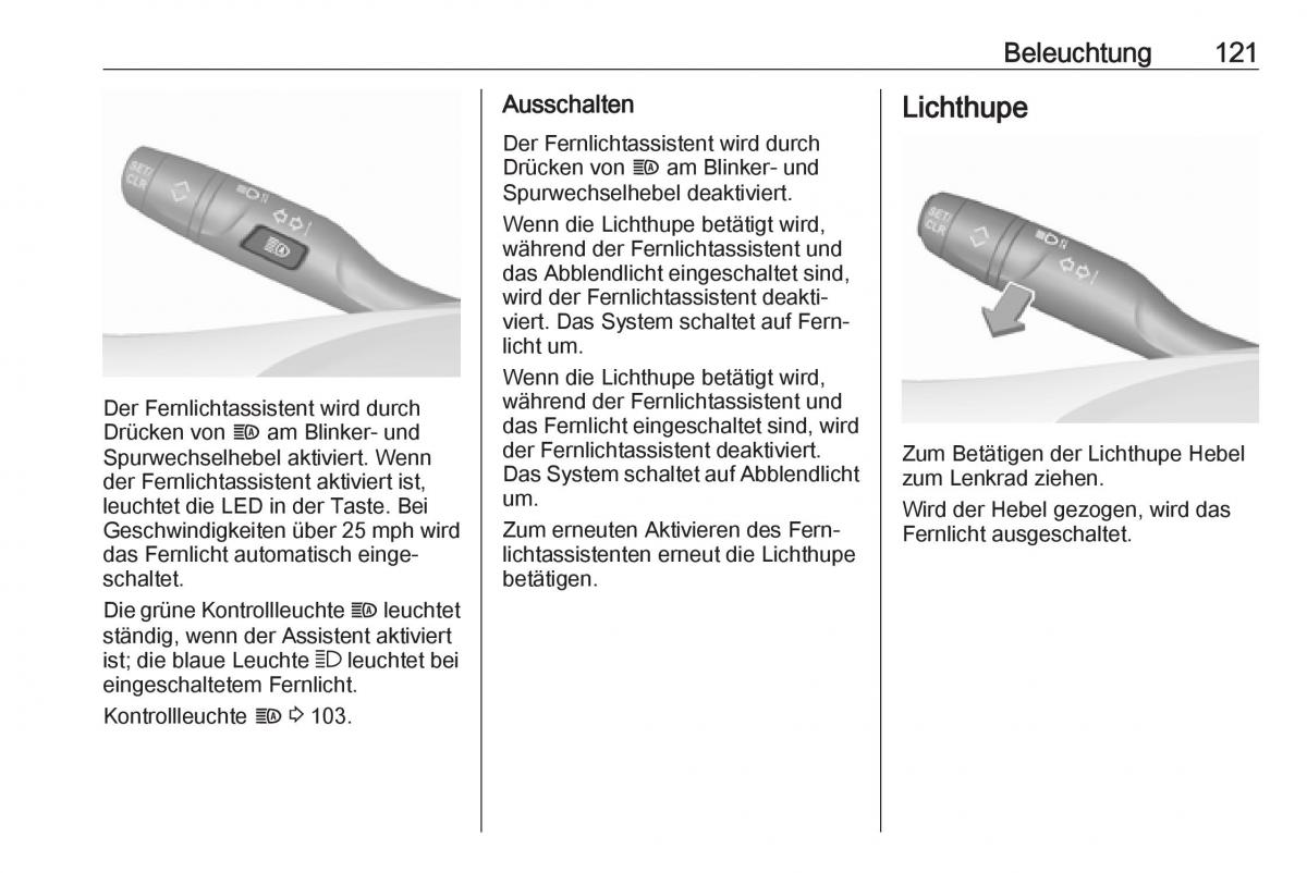 Opel Grandland X Handbuch / page 123