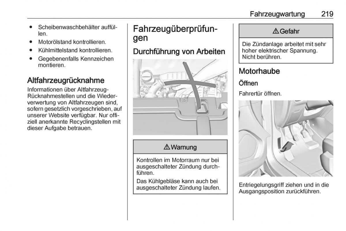 Opel Grandland X Handbuch / page 221