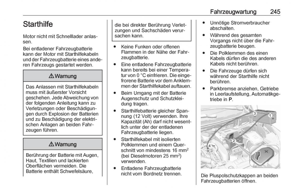 Opel Grandland X Handbuch / page 247