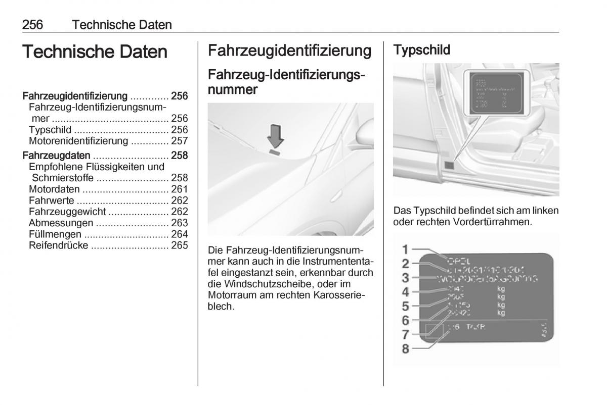 Opel Grandland X Handbuch / page 258