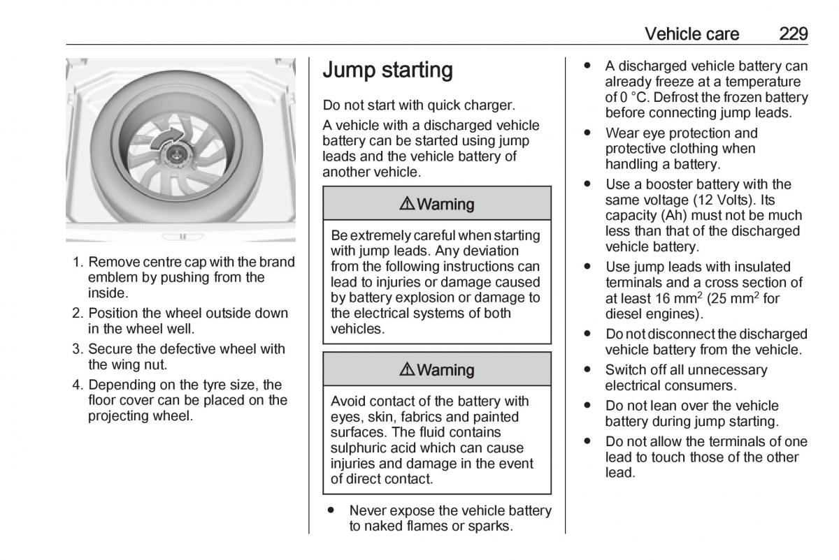 Opel Grandland X owners manual / page 231