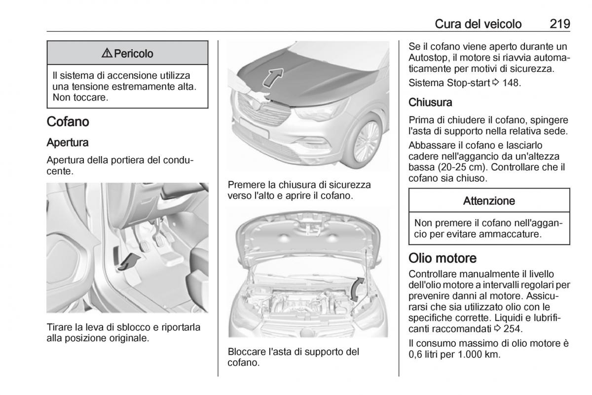 Opel Grandland X manuale del proprietario / page 221