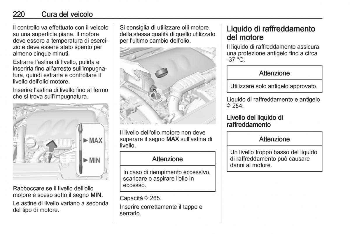 Opel Grandland X manuale del proprietario / page 222