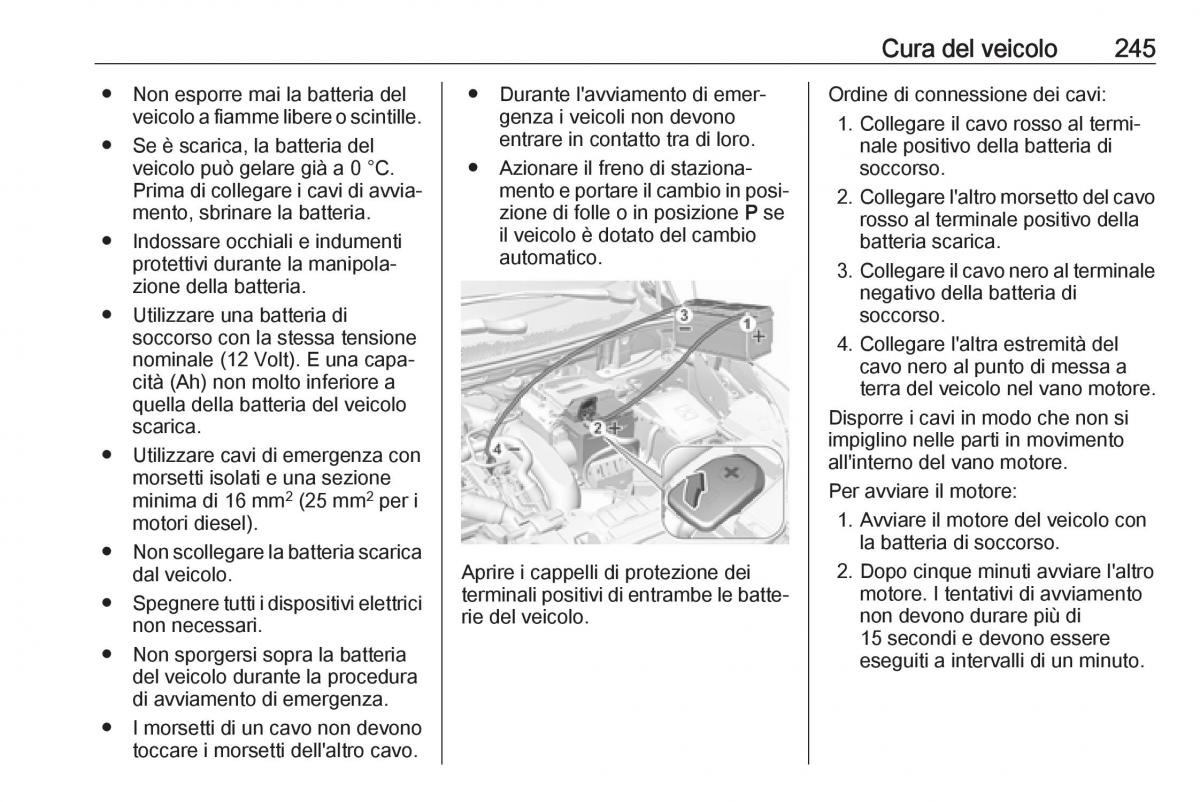 Opel Grandland X manuale del proprietario / page 247