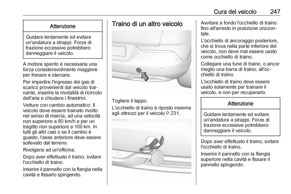 Opel Grandland X manuale del proprietario / page 249